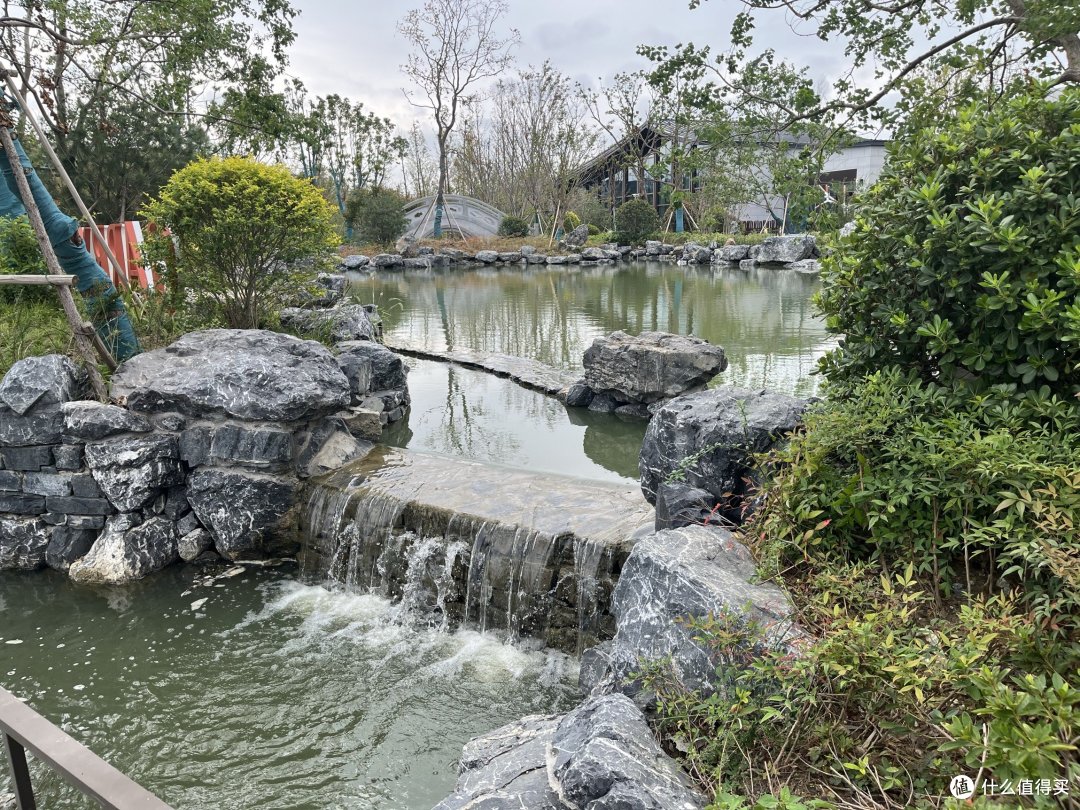 亲子酒店第二弹:阳澄湖开湖啦,食蟹!打卡阳澄湖新开的悦柳酒店——从大到小,从吃到住安排的明明白白