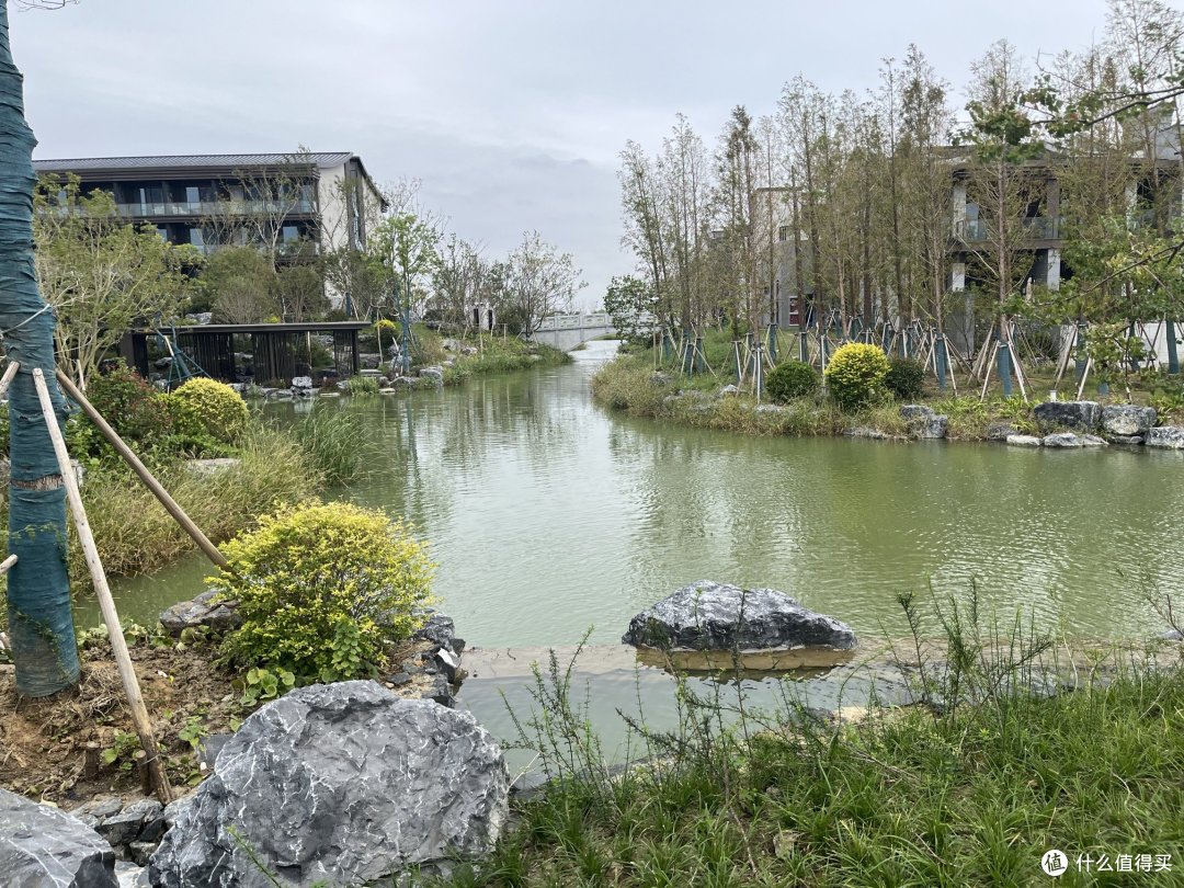 亲子酒店第二弹:阳澄湖开湖啦,食蟹!打卡阳澄湖新开的悦柳酒店——从大到小,从吃到住安排的明明白白