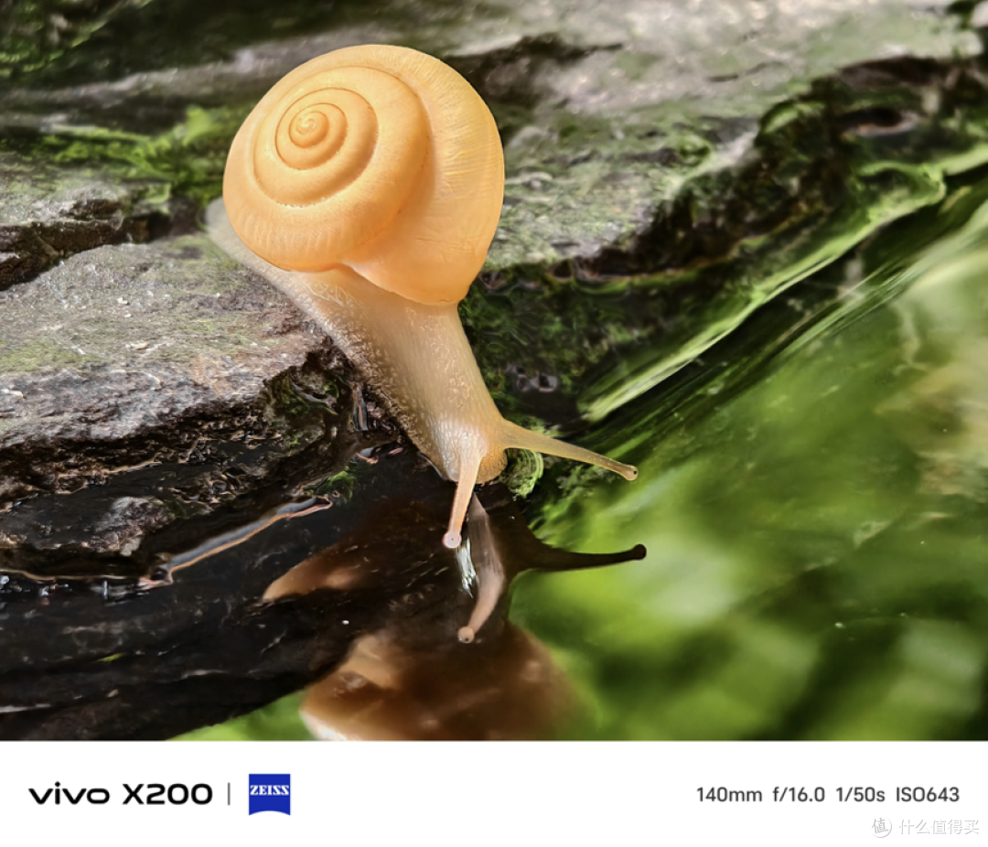 年度旗舰vivo X200系列来啦!灭霸再度升级——一超多强!