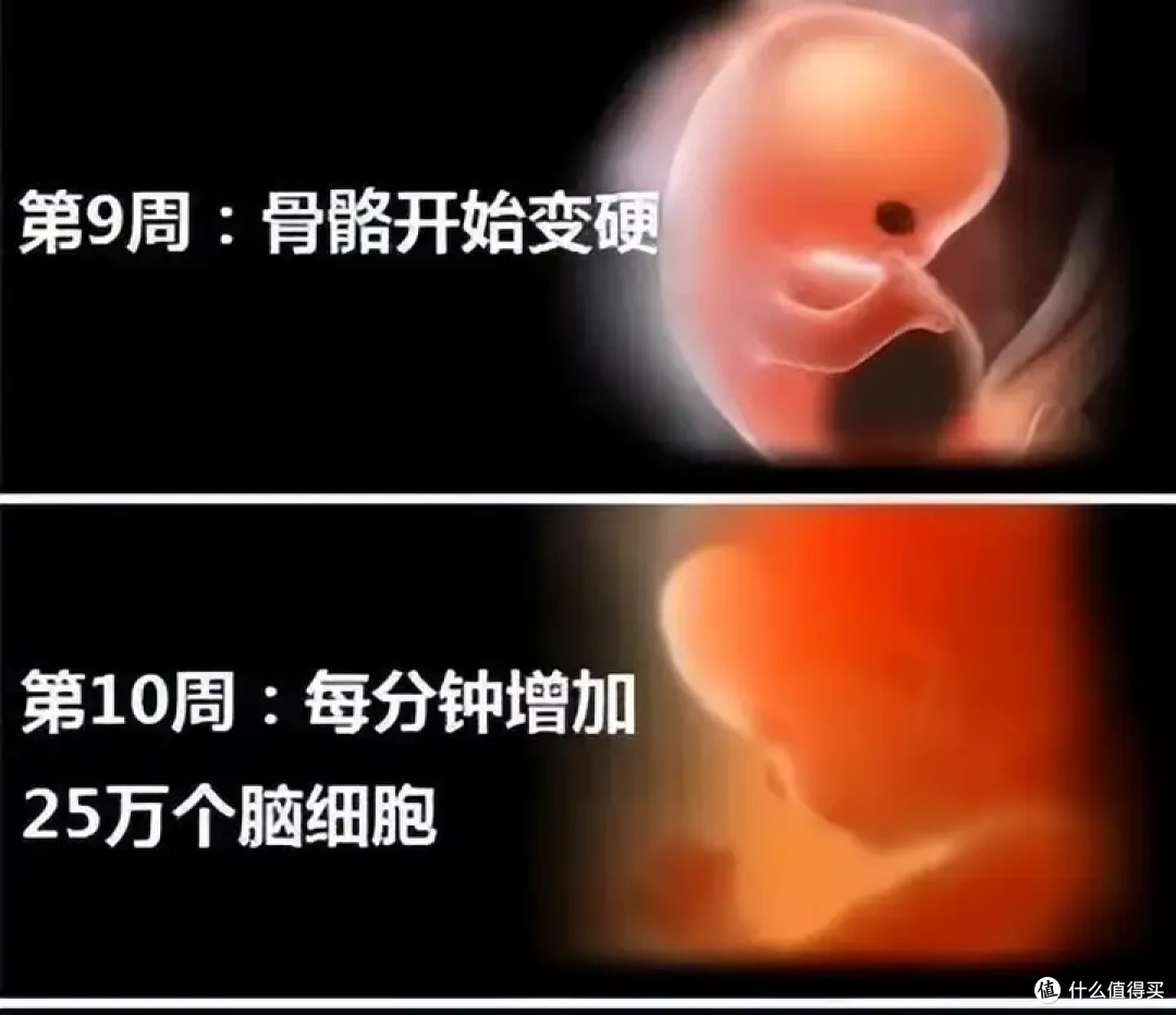 怀孕不易,怎么做能更好地守护宝宝的健康?