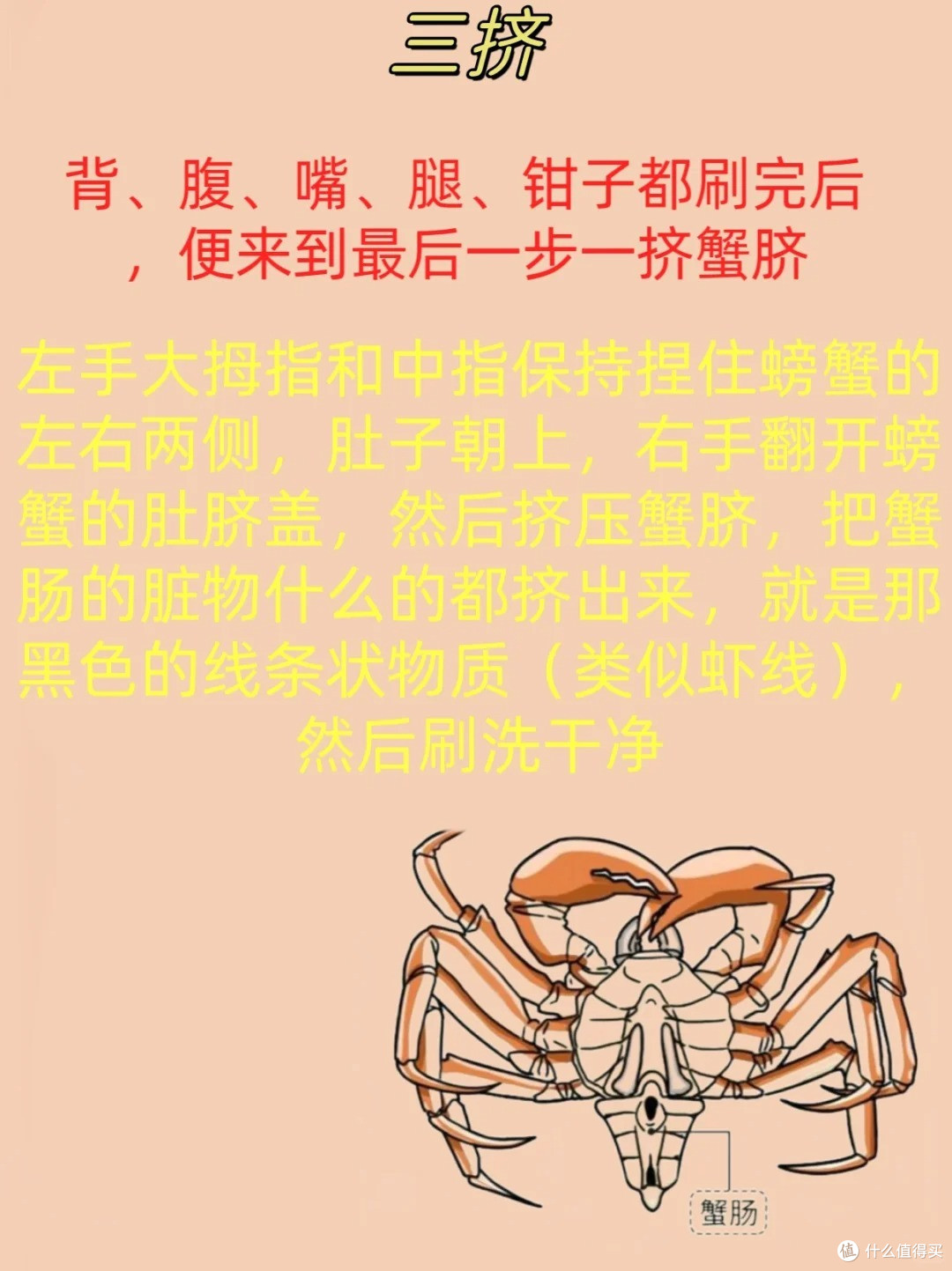如何吃到味美肥肥的螃蟹技巧