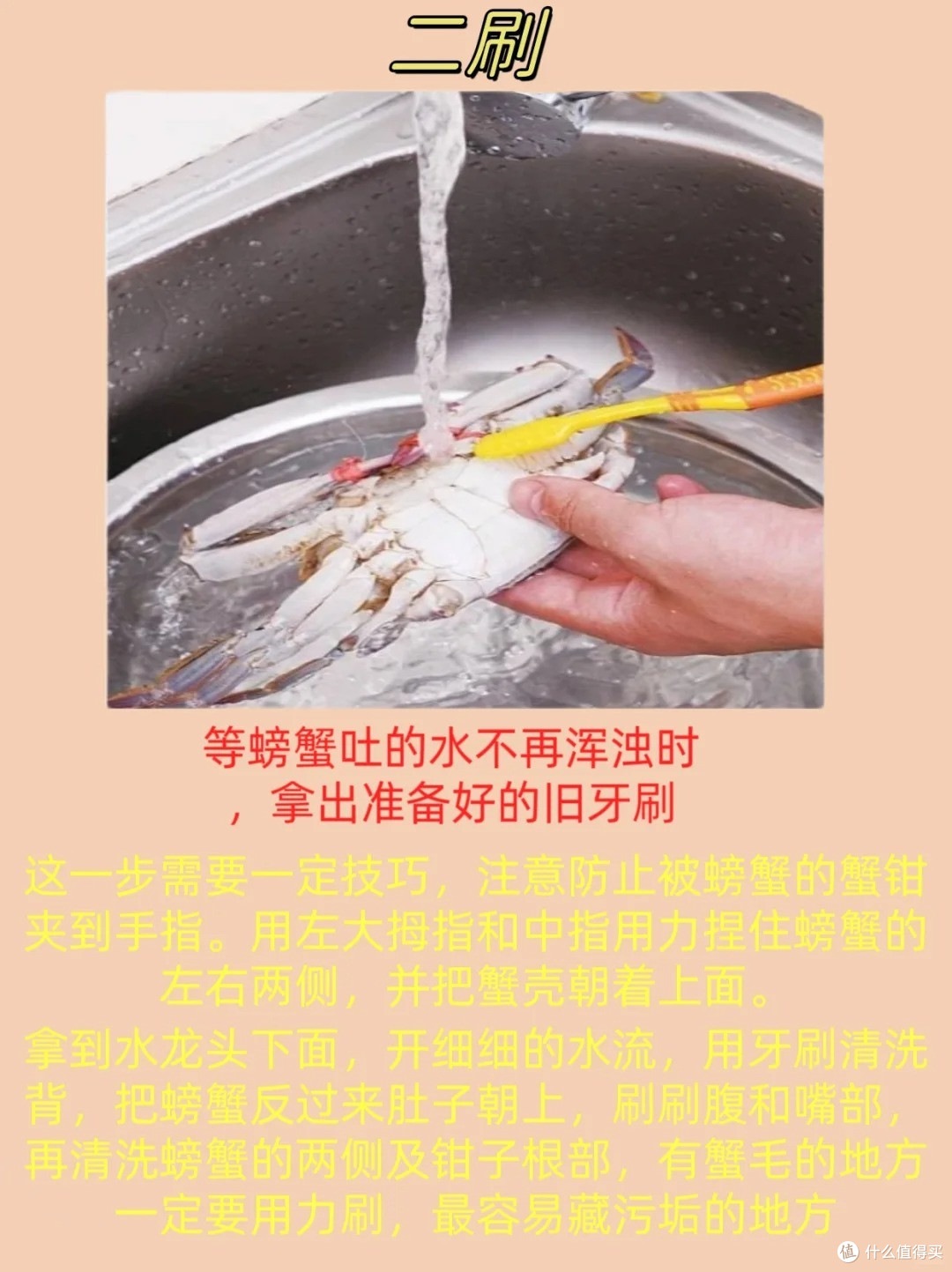 如何吃到味美肥肥的螃蟹技巧
