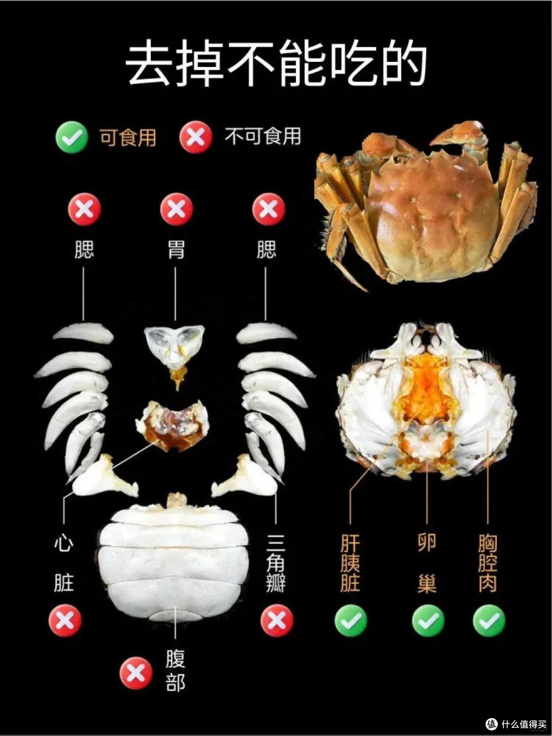 如何吃到味美肥肥的螃蟹技巧
