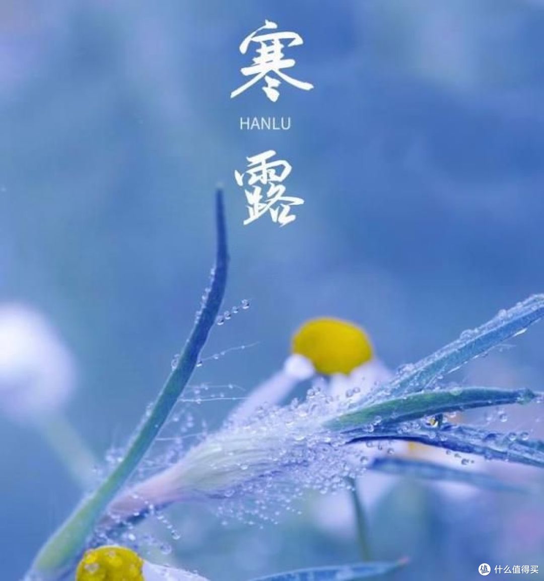 寒露后,昼夜温差大,这份晚餐请收好!热乎乎的又防秋燥!