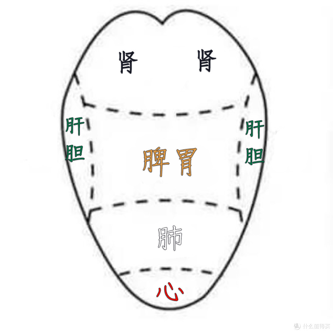 【闲小豆·嫦娥】舌头软塌塌，预示着该补补气血了