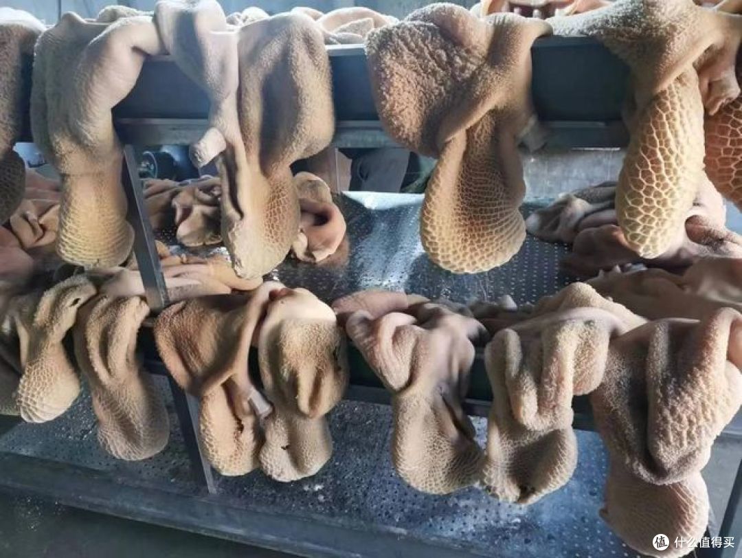 毛肚和牛肚的区别,你知道哪种是吃火锅标配吗?