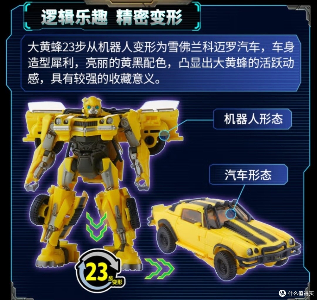 文玩 ルドラクシャ 五つ星蜂王金剛菩提腕輪 23mm 大玉 五星蜂王大金刚 文玩 ルドラクシャ 五つ星蜂王金剛菩提腕輪 23mm 大玉 五星蜂王