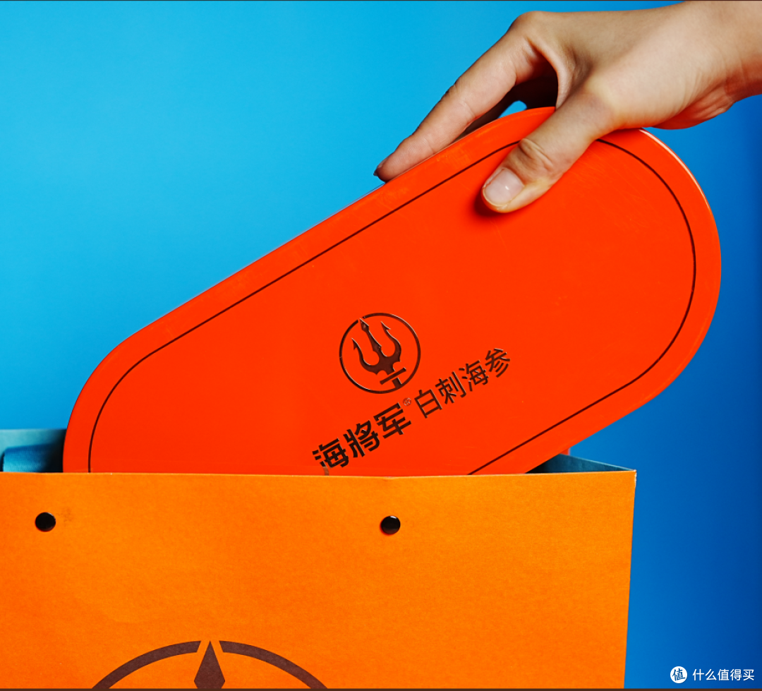 底播海参是野生海参吗?大连野生海参怎么买?