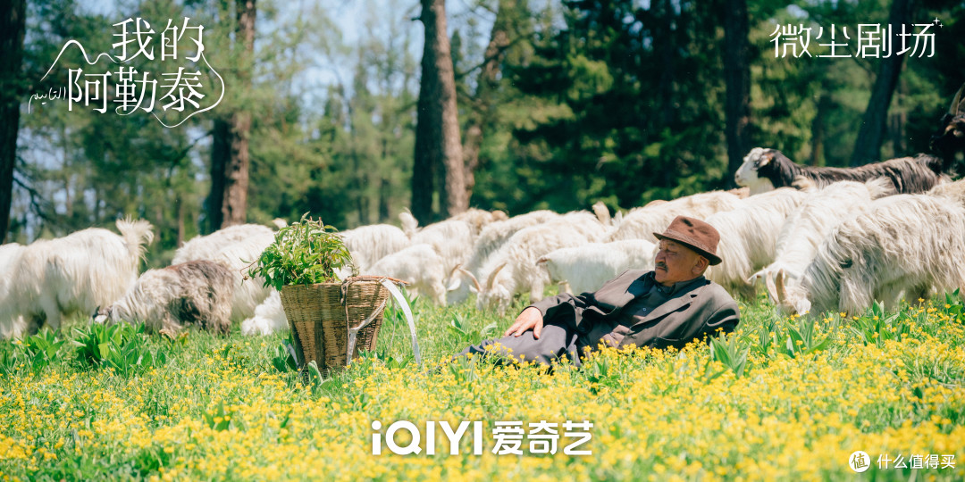 《我的阿勒泰》:文字与影像的交响乐