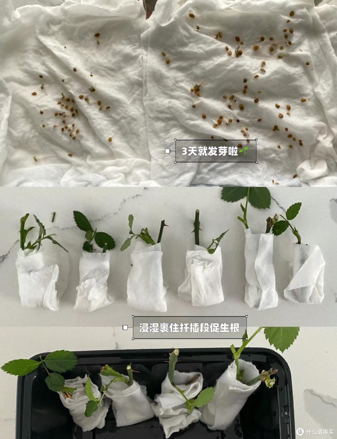 榨干洗脸巾的剩余价值，我发现了这12个小妙招，环保又省钱！