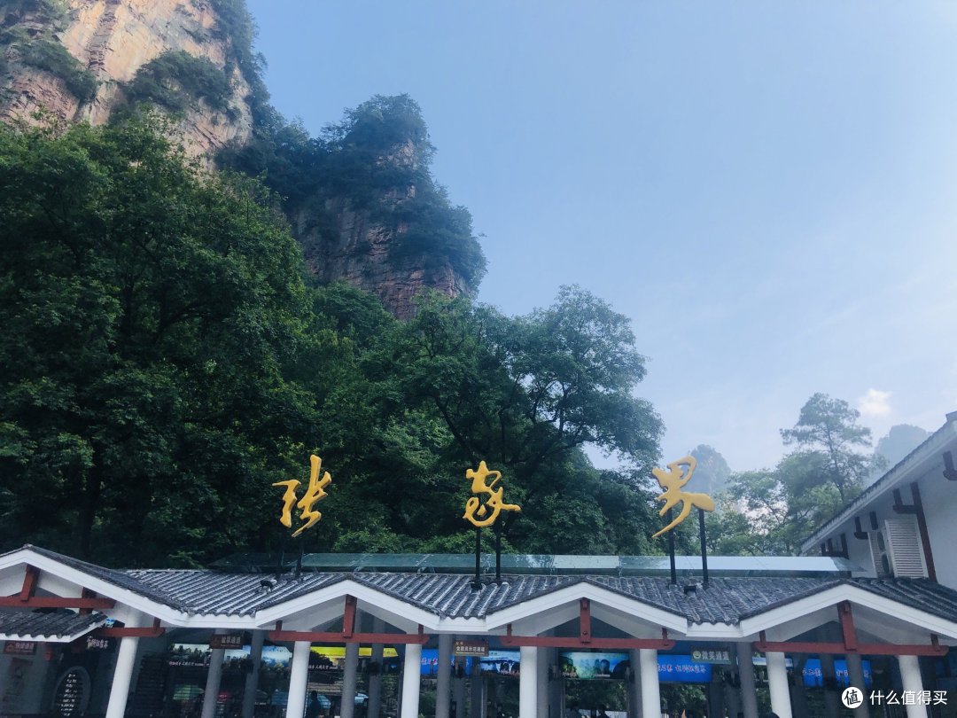 😏张家界⛰️那里的猴子🐒🐒🈶️挑逗过你么?哈哈~