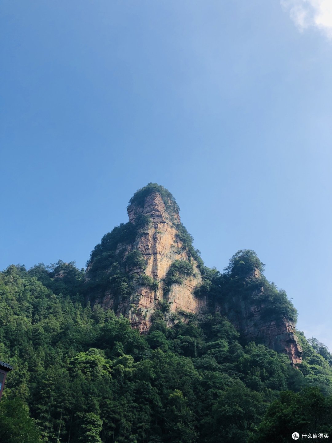 😏张家界⛰️那里的猴子🐒🐒🈶️挑逗过你么?哈哈~
