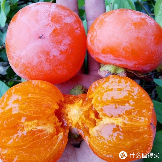 秋季吃什么食物好养生？这10种食物滋润整个秋天！