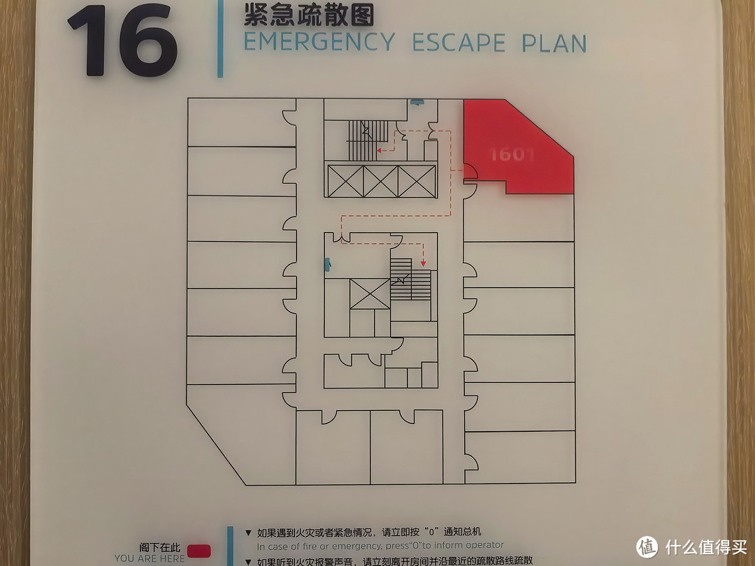 上海自驾318！Day2⃣：溧阳华府智选假日酒店 角房入住体验 溧阳一号公路