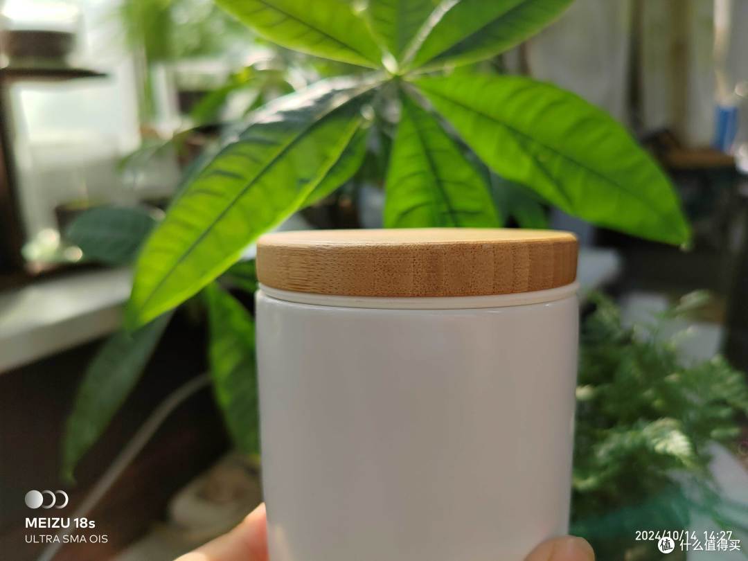 竹制杯盖，增添些许自然之趣