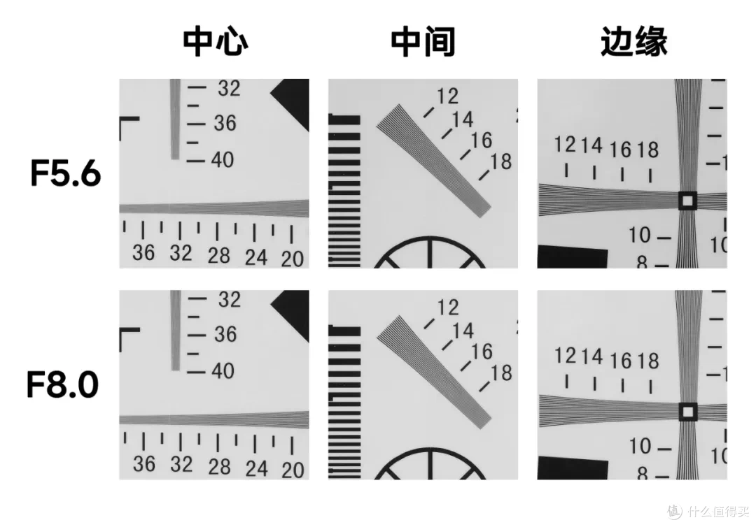 携富士XF500/5.6在热带岛屿上拍动物