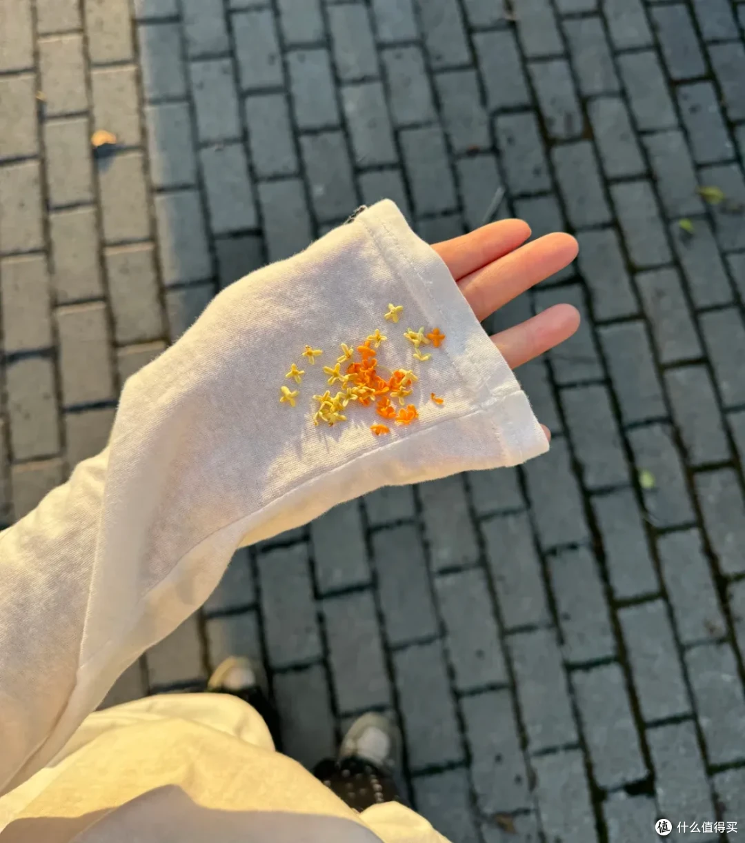 这些桂花利用方法,真的巨巨巨棒!这份季节限定的美好,请查收~