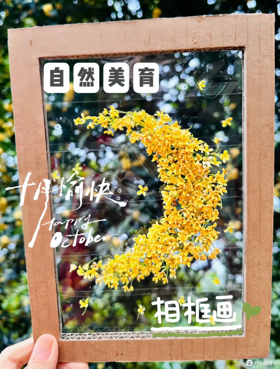 这些桂花利用方法,真的巨巨巨棒!这份季节限定的美好,请查收~