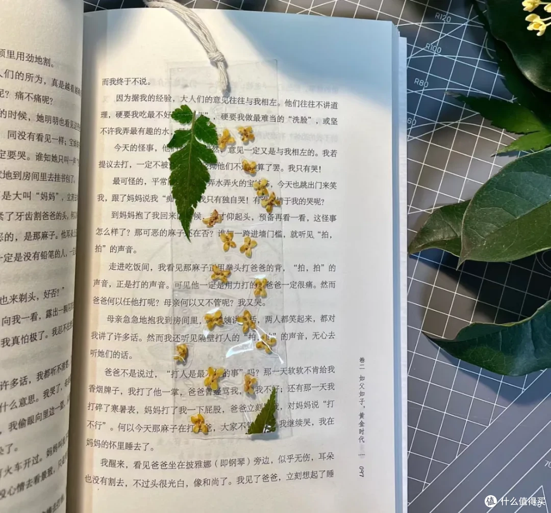 这些桂花利用方法,真的巨巨巨棒!这份季节限定的美好,请查收~
