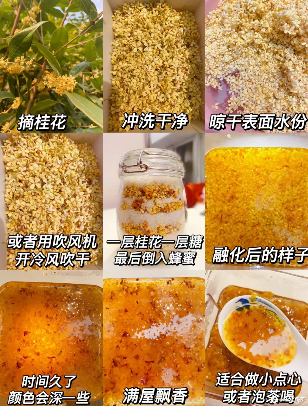 这些桂花利用方法,真的巨巨巨棒!这份季节限定的美好,请查收~