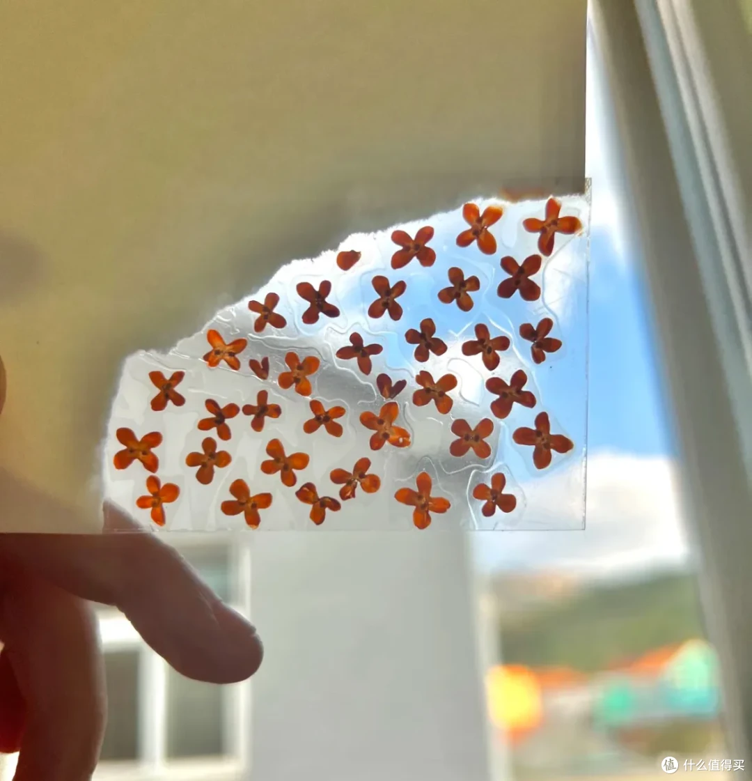 这些桂花利用方法,真的巨巨巨棒!这份季节限定的美好,请查收~