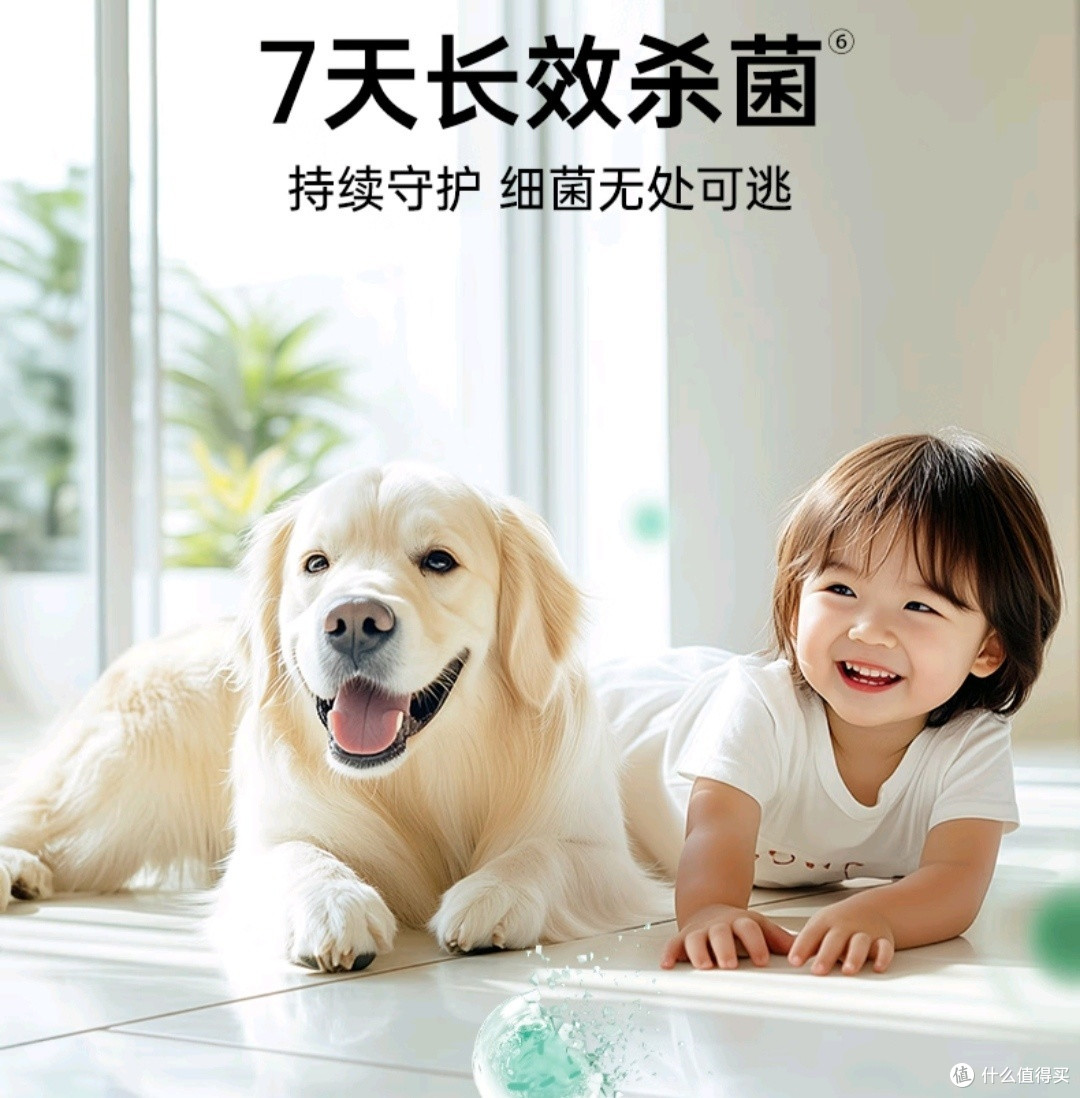 更加专业的地面清洁装备！