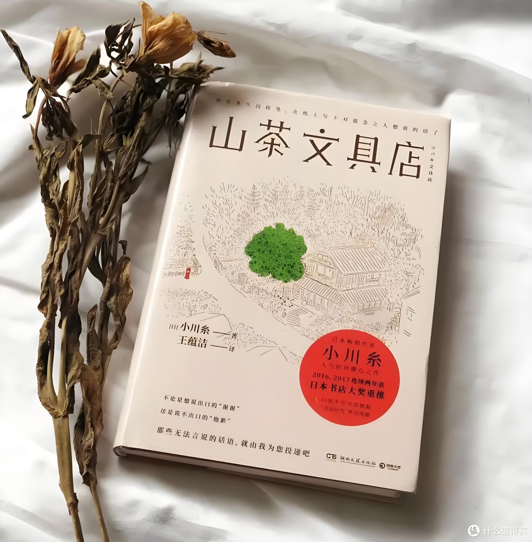 30本高评分文学著作,比刷短视频过瘾