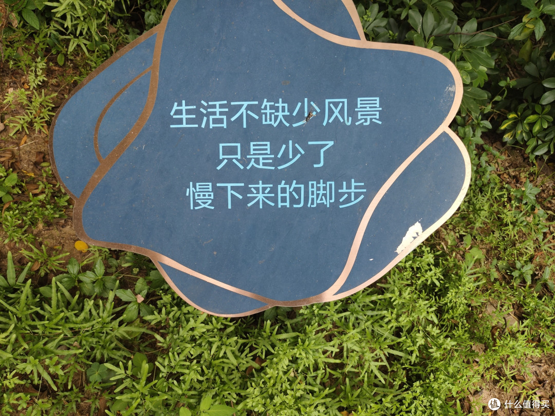 午后的湖边