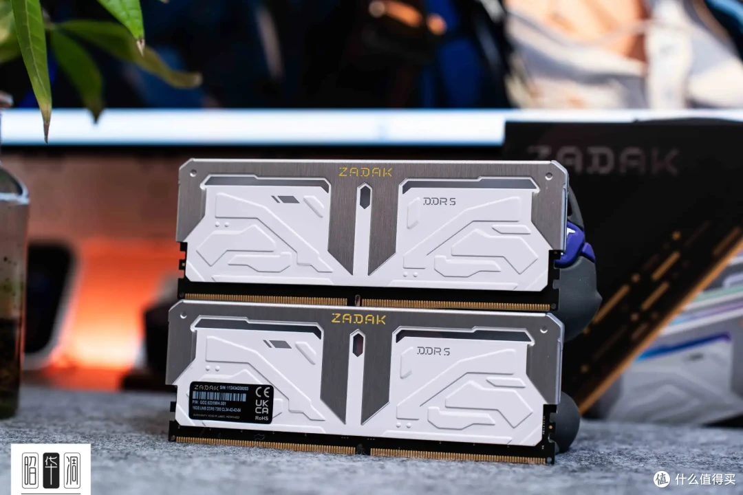 高频高颜值、机甲电竞风|宇瞻 ZADAK SPARK RGB DDR5 7200上手实测
