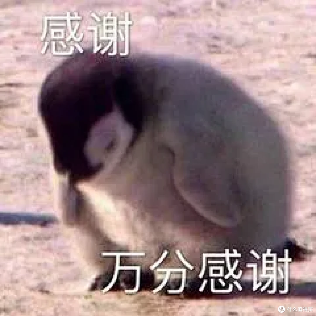 【2024年双十一耳机推荐】有线耳机篇,学生党打工人必看选购攻略,兴戈、弱水时砂、达音科、耳机怎么选