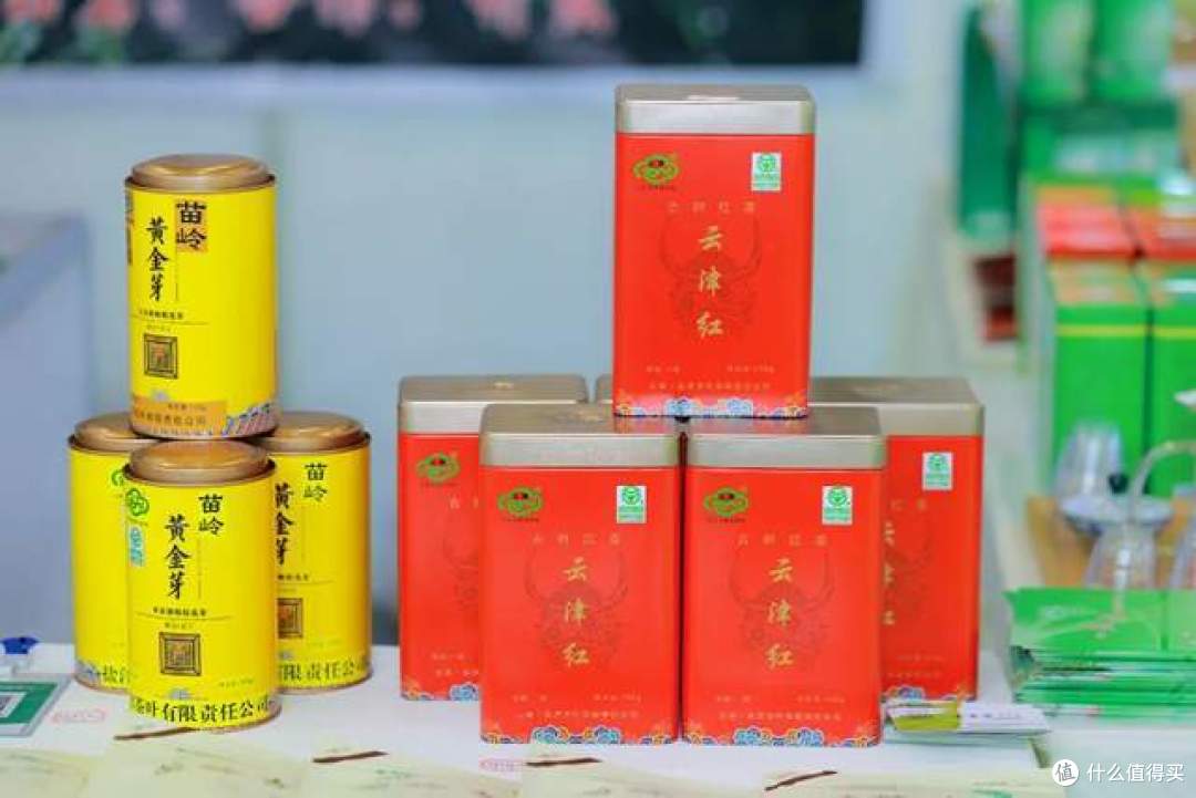 做个会生活的成都人！周末结伴茶博会，悠悠品咂世间茶
