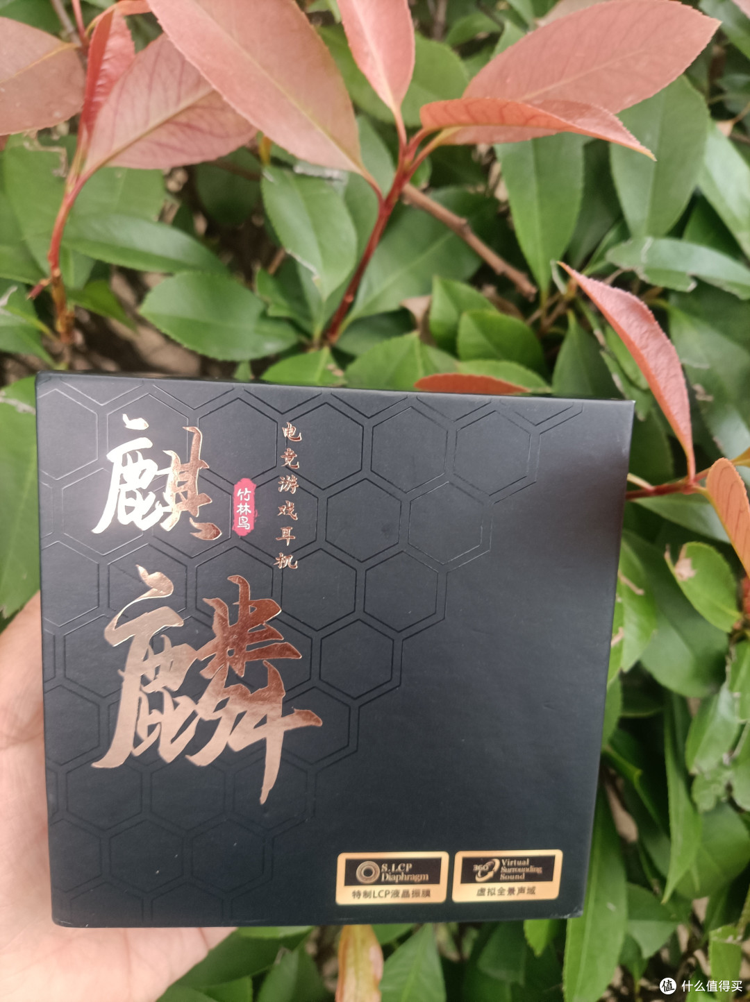 双11不容错过的，国风耳机竹林鸟1
