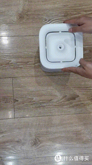 铲屎官必备!小佩宠物智能饮水机让主子爱上喝水