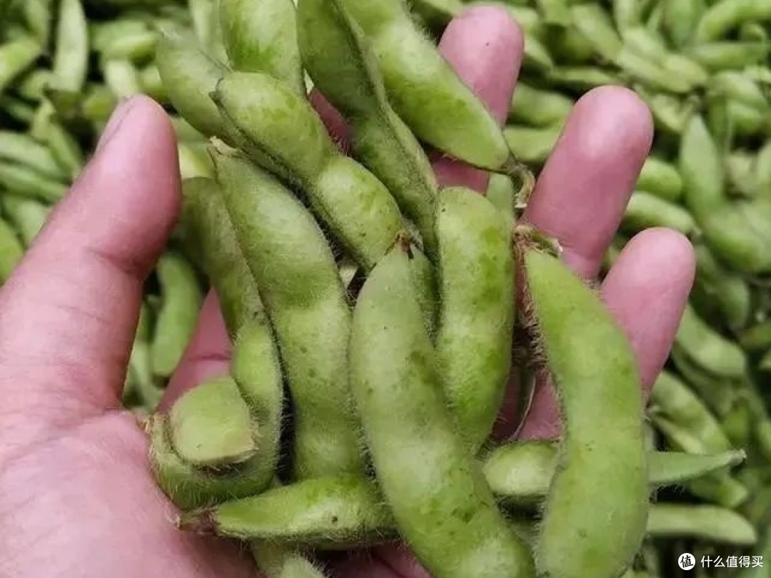 养生大法——秋吃果