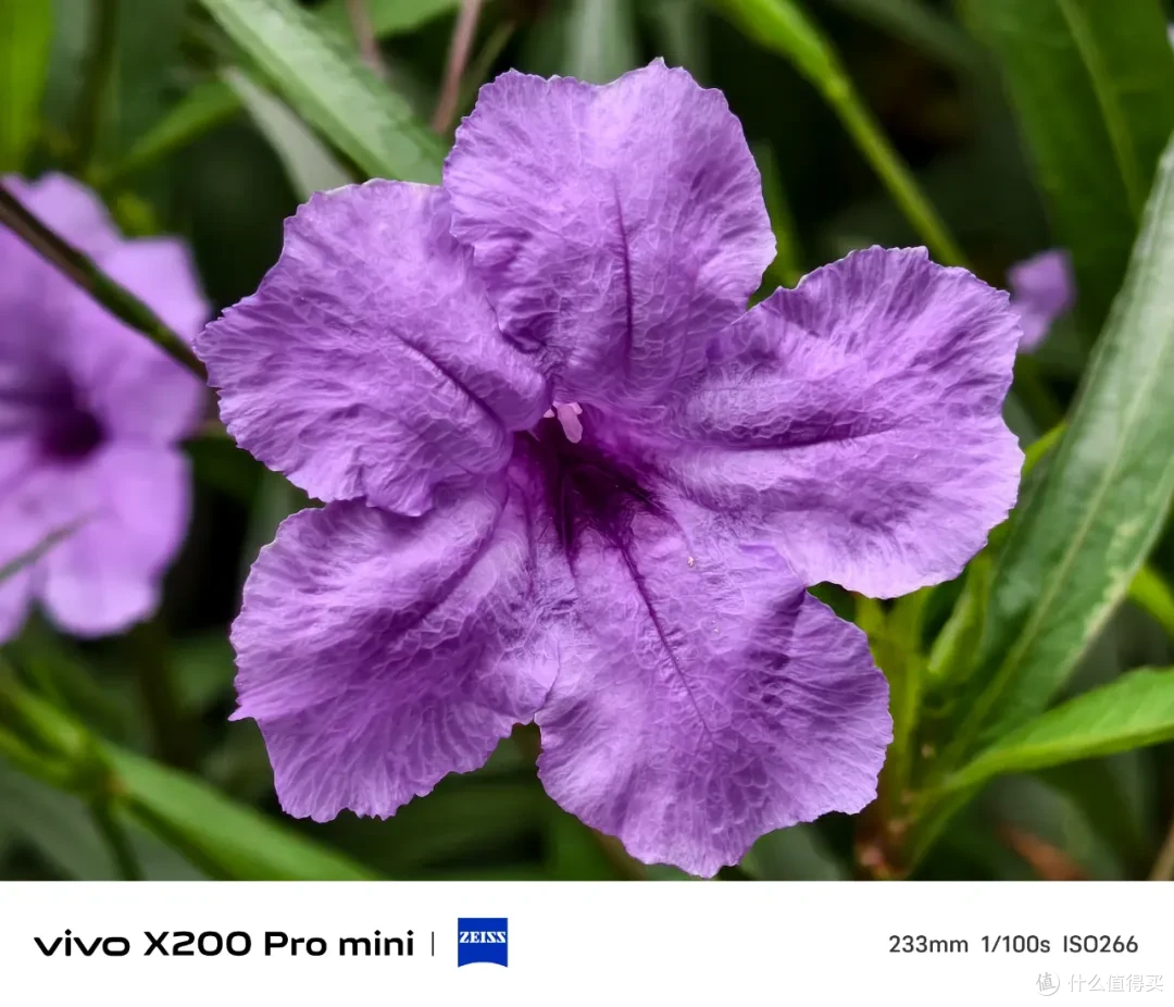 vivo X200 Pro mini测评：小屏用户的顾虑，可以放下了