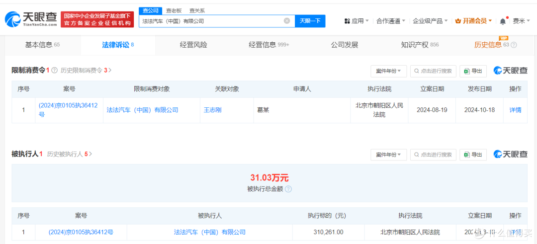 法法汽车被限消