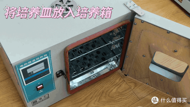 2024年5大爆款空气净化器实测:拒绝空气污染!阿卡驰、霍尼韦尔、IAM、小米、树新风谁才是性价比之王?