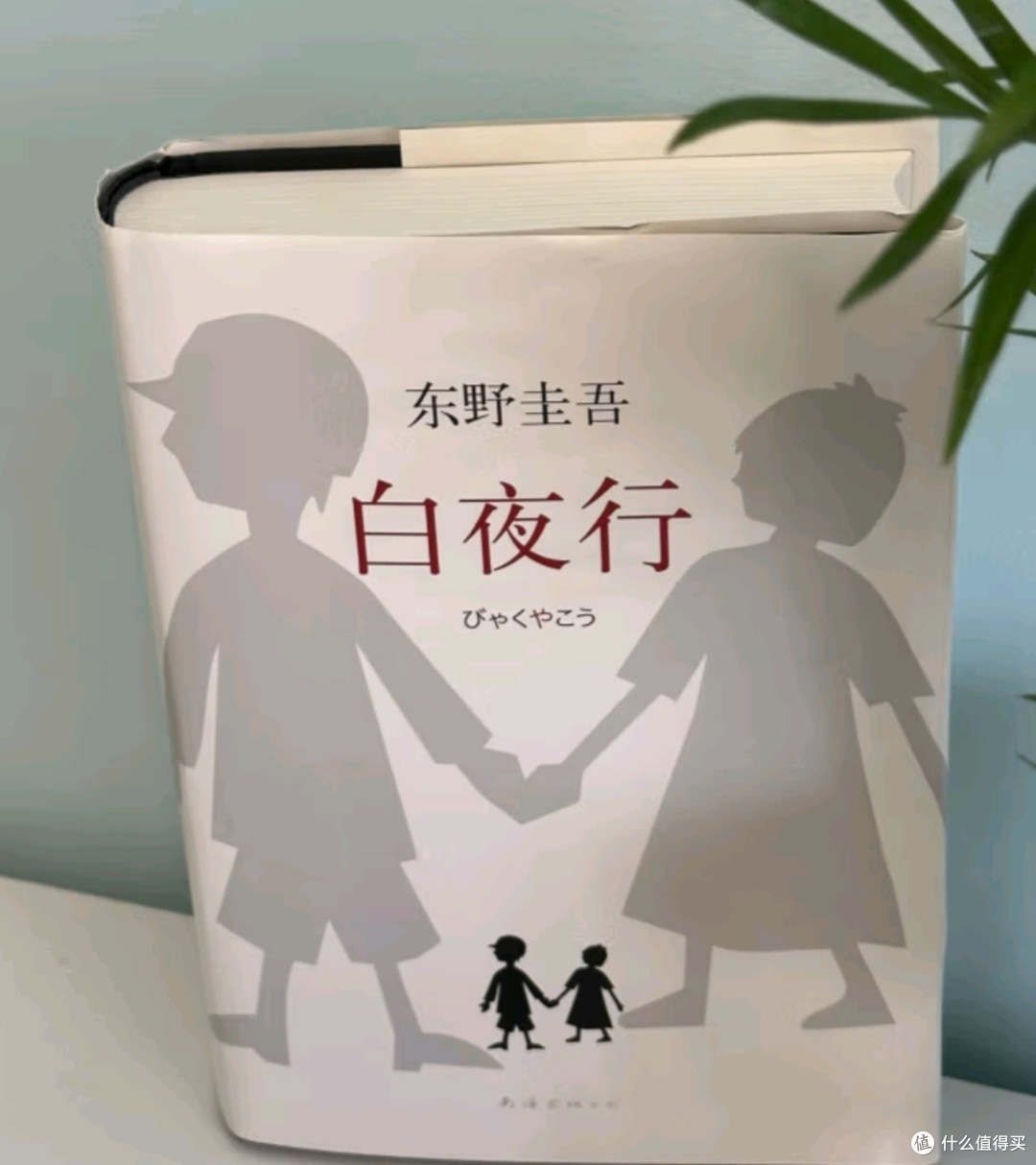 《白夜行》:揭秘人性的光辉与阴暗!