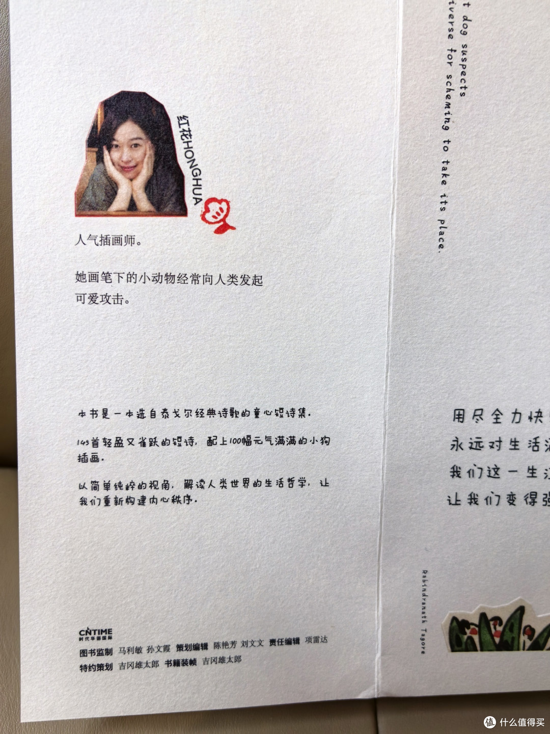 《小狗疑心大宇宙阴谋篡夺它的位置》测评