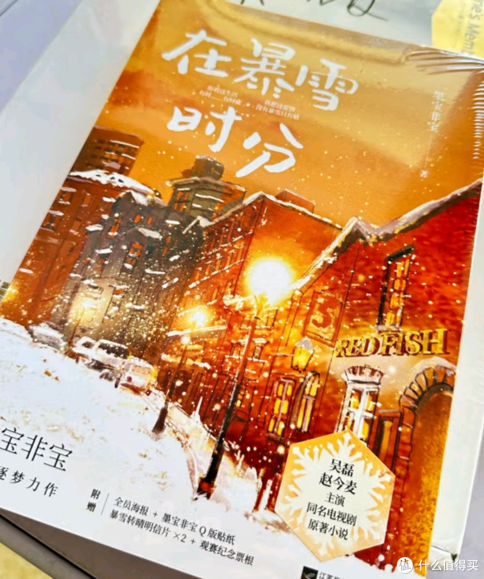 在暴雪时分 墨宝非宝作品 吴磊、赵今麦主演电视剧原著小说 