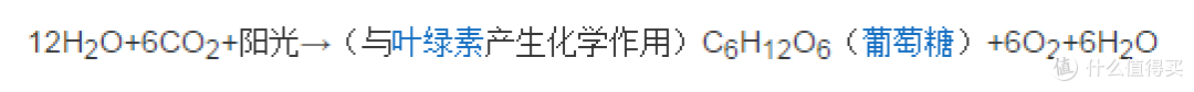 人类为什么没有进化出光合作用?