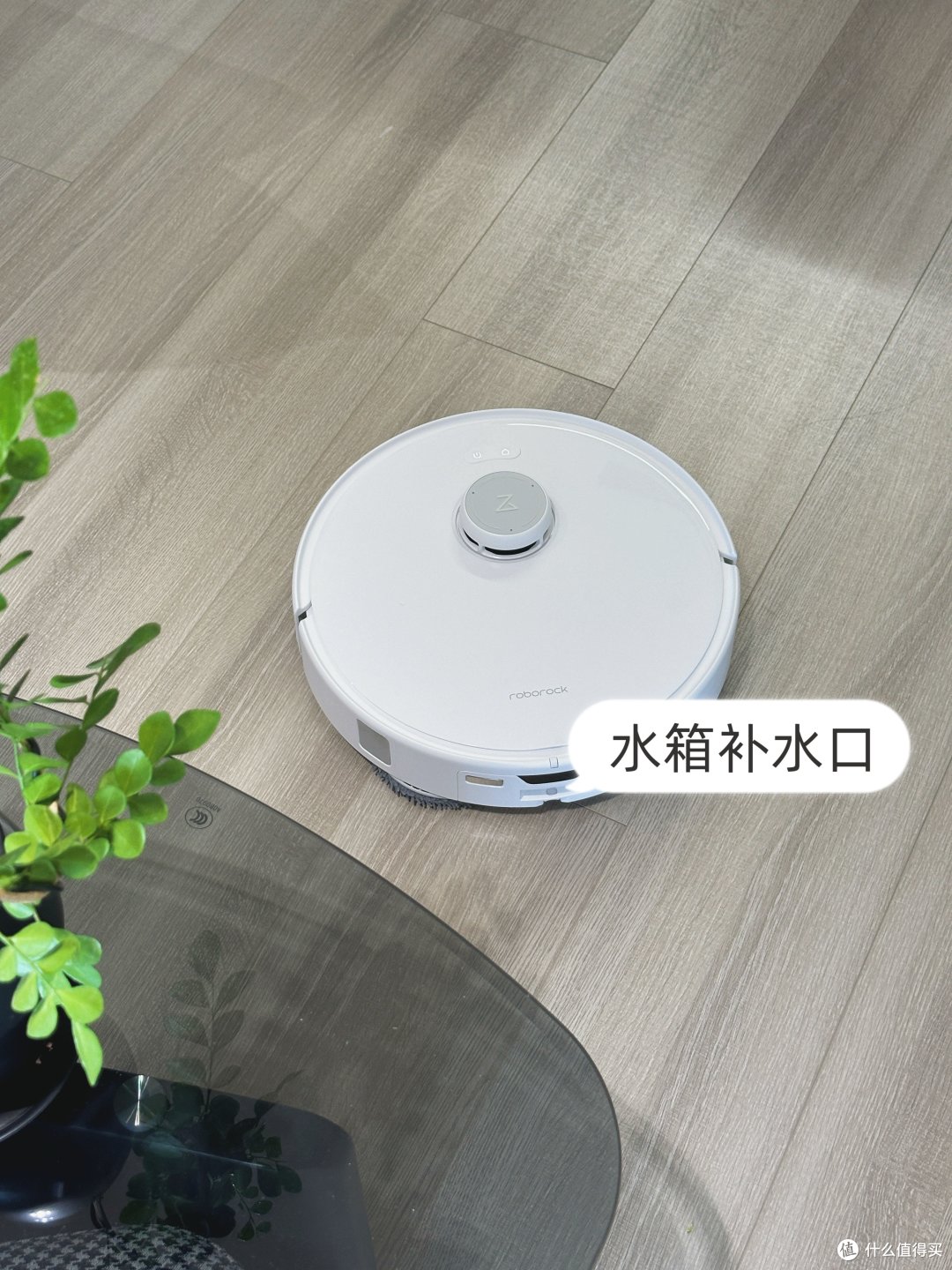 离大谱‼️竟然真的有适合懒人用的扫地机😱