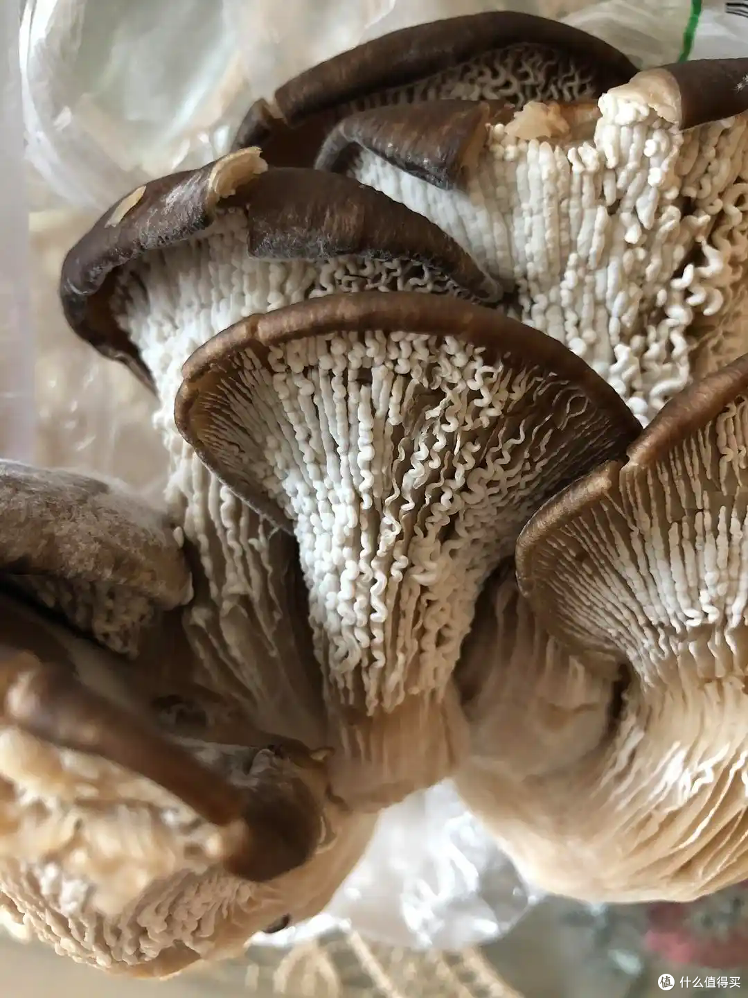 无论冰箱有多大,这10种蔬菜都别放进冰箱,越放越容易坏!