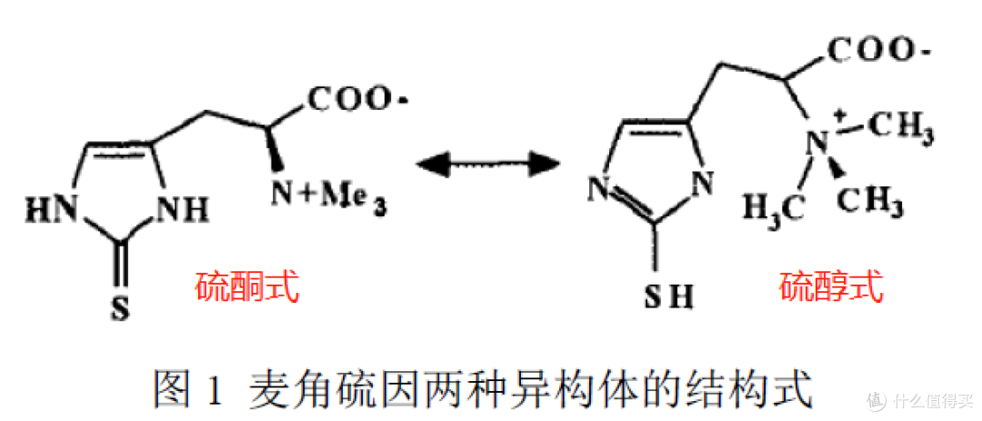 科伦川宁生物前三季度净赚11亿，合成生物学龙头崛起