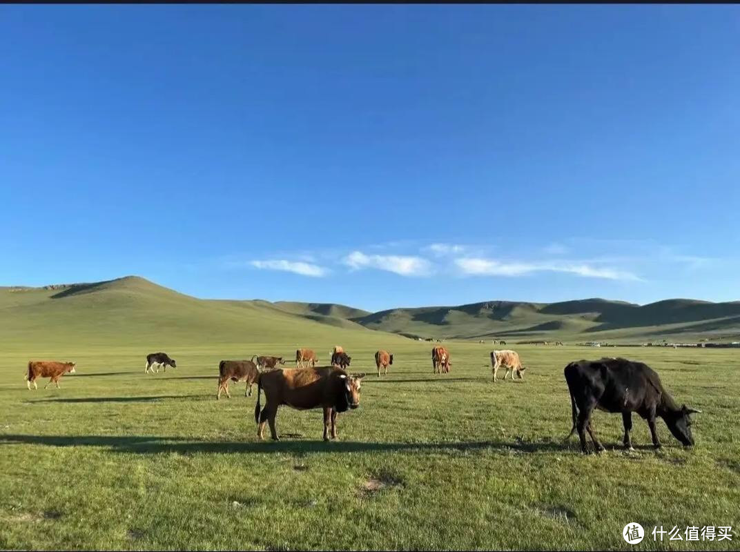 《陨石撞击地球的历史与影响》