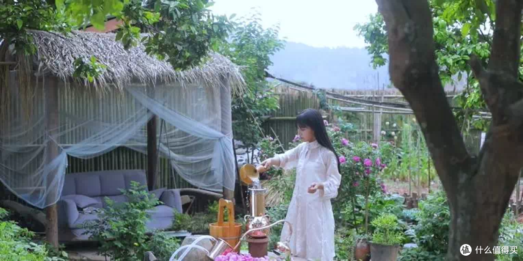 时隔三年李子柒再次“回归”,再看她的院子,才发现依旧令人向往