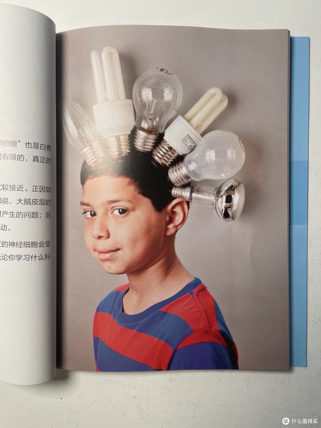和孩子一起学习大脑知识