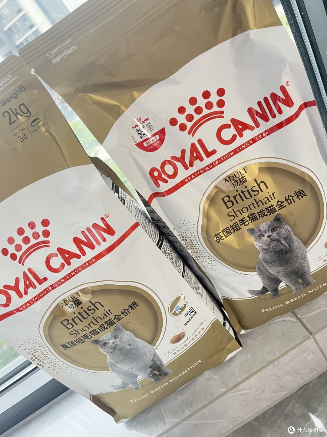 小猫咪爱吃皇家猫粮😸