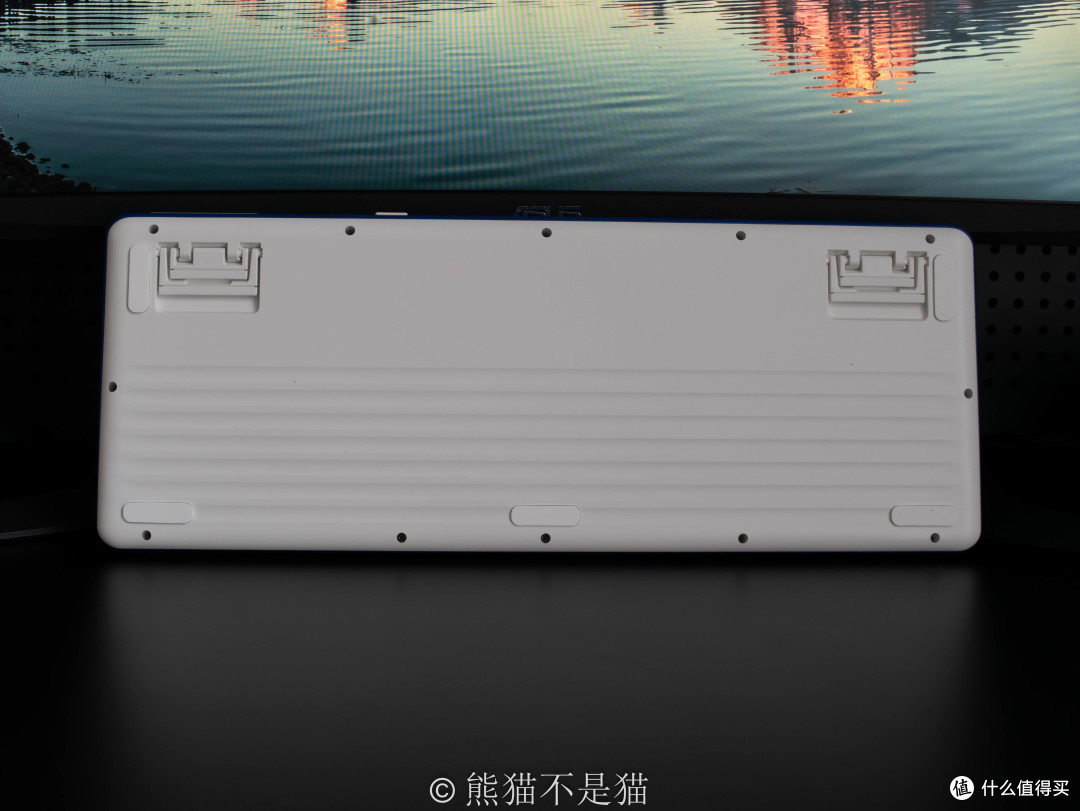 背面
