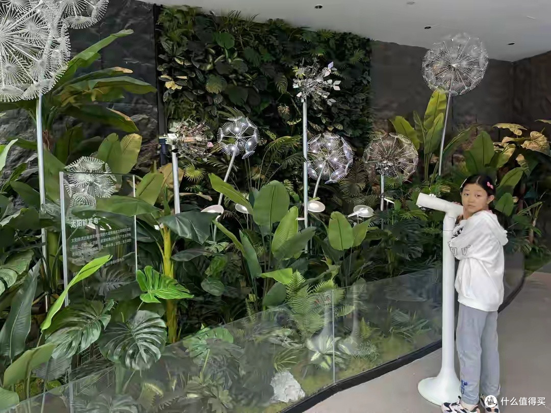不看不知道，一看吓一跳，比亚迪郑州迪空间太壮观了